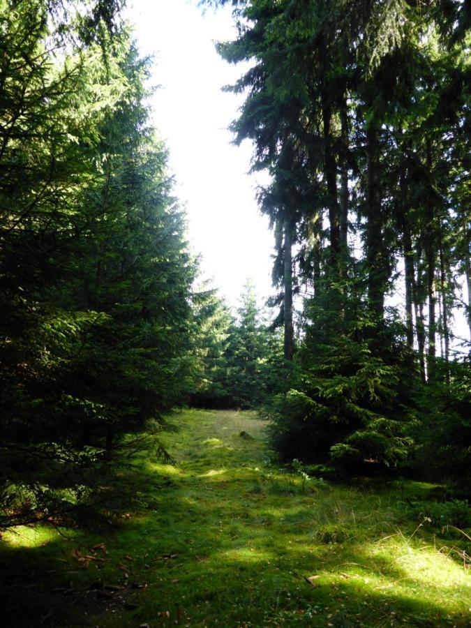 Berghof Lägenhet Zeulenroda-Triebes Exteriör bild