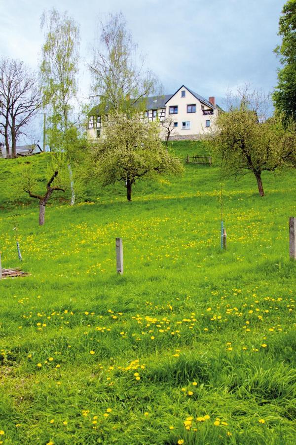 Berghof Lägenhet Zeulenroda-Triebes Exteriör bild