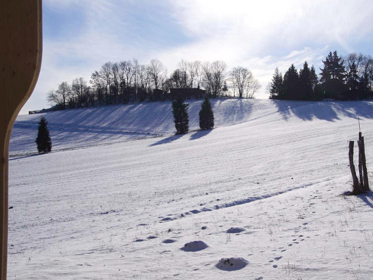 Berghof Lägenhet Zeulenroda-Triebes Exteriör bild